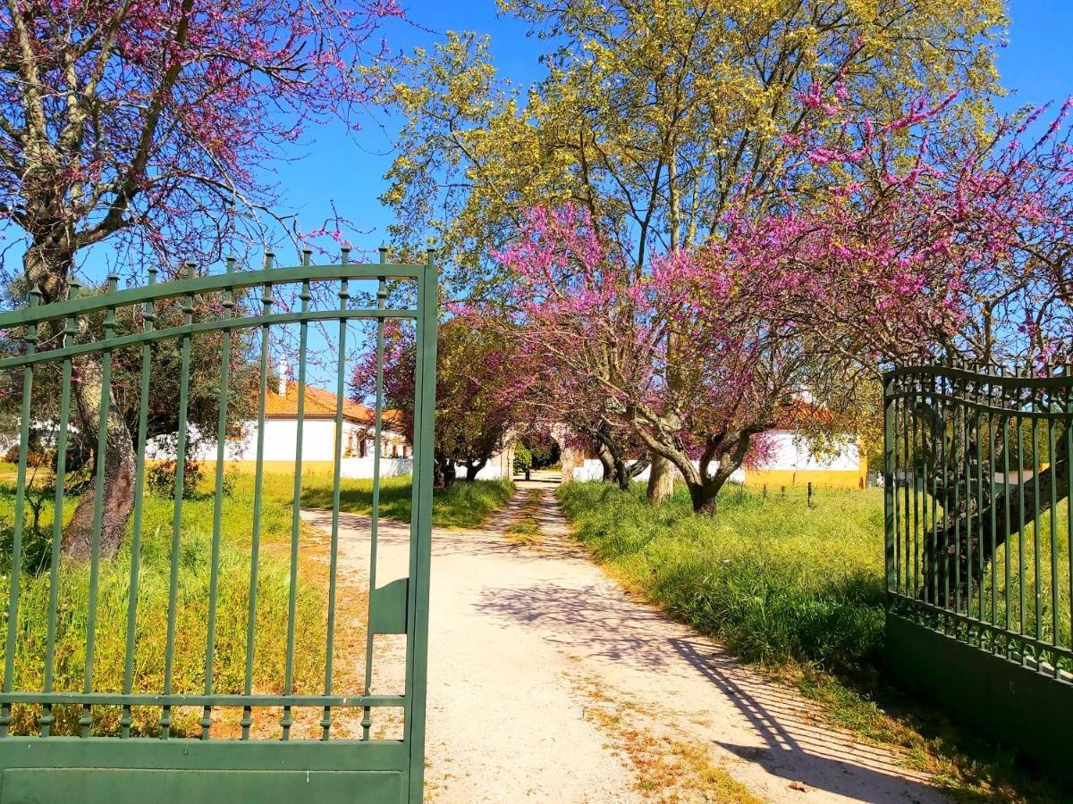Casas Herdade Do Convento Da Serra Almeirim Eksteriør billede