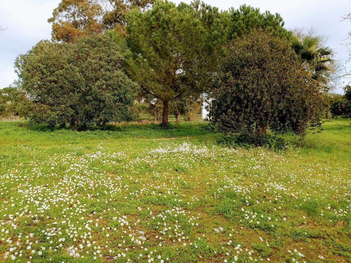 Casas Herdade Do Convento Da Serra Almeirim Eksteriør billede