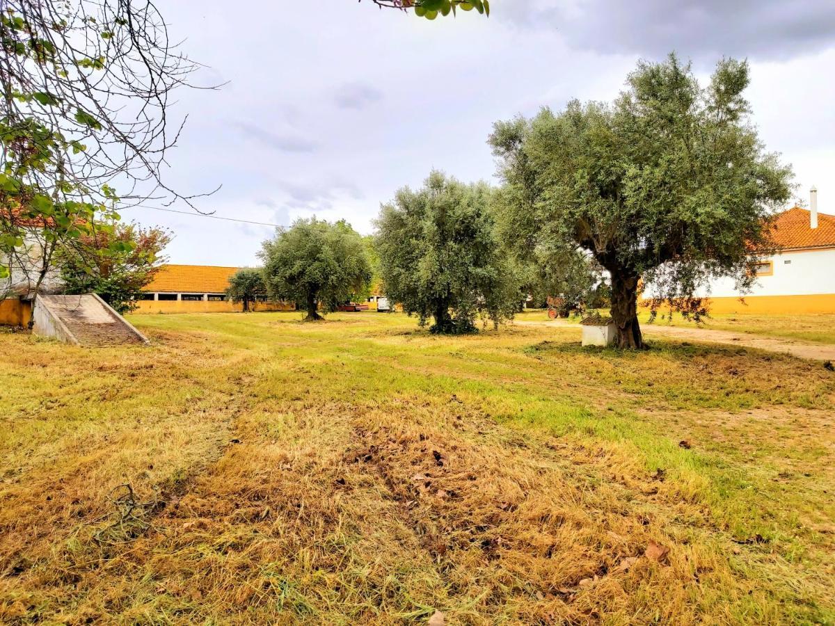 Casas Herdade Do Convento Da Serra Almeirim Eksteriør billede