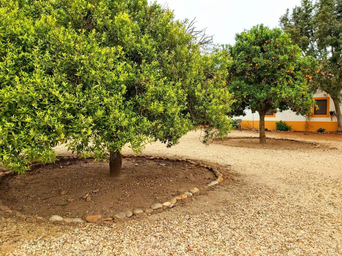 Casas Herdade Do Convento Da Serra Almeirim Eksteriør billede