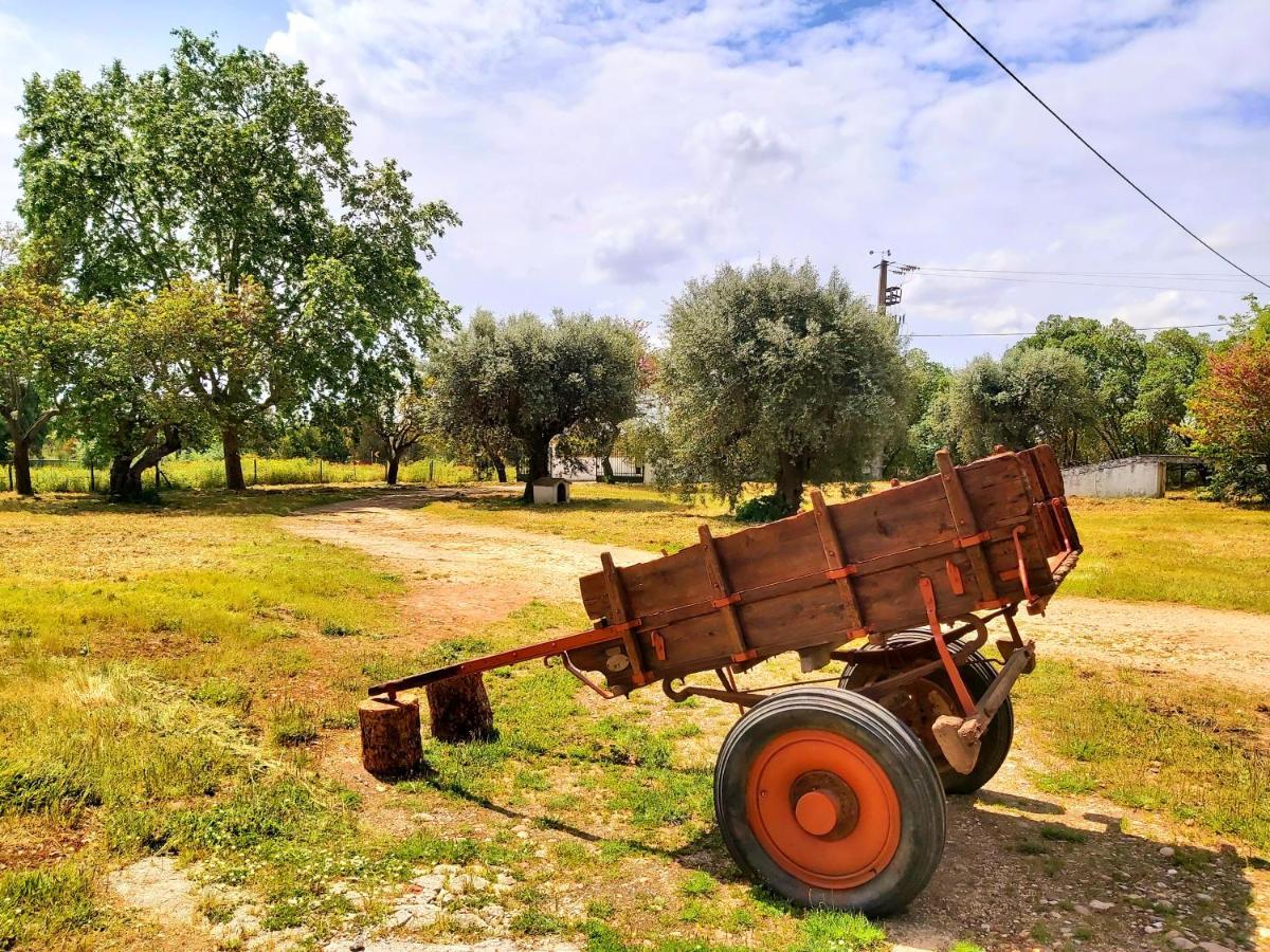Casas Herdade Do Convento Da Serra Almeirim Eksteriør billede