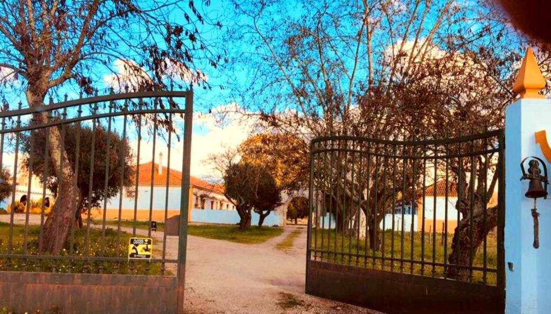 Casas Herdade Do Convento Da Serra Almeirim Eksteriør billede