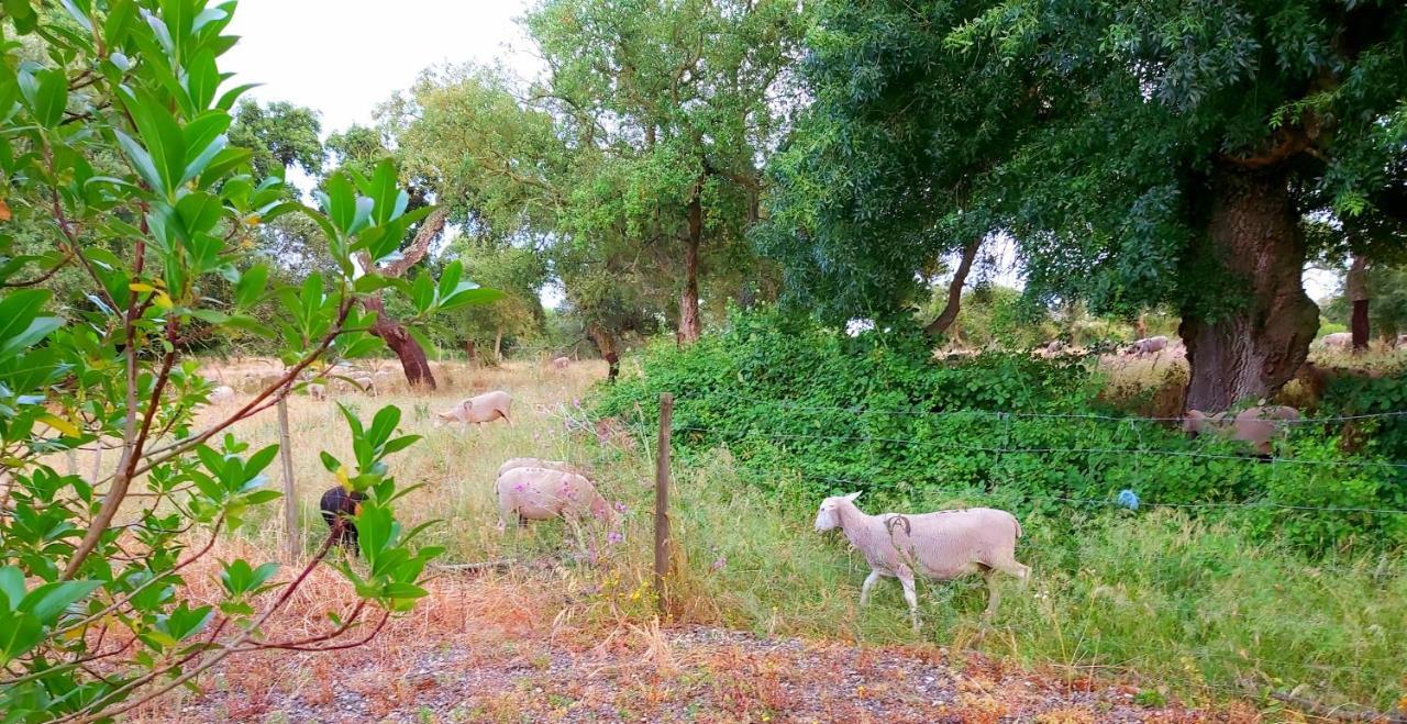 Casas Herdade Do Convento Da Serra Almeirim Eksteriør billede