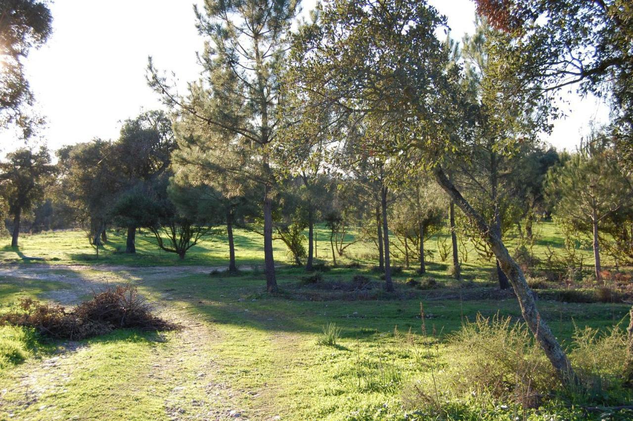 Casas Herdade Do Convento Da Serra Almeirim Eksteriør billede