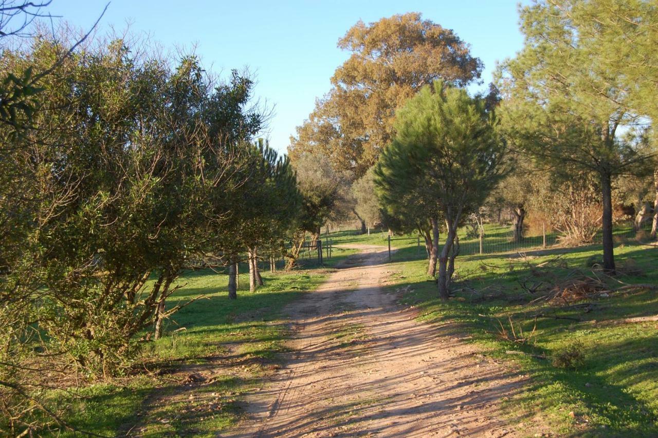 Casas Herdade Do Convento Da Serra Almeirim Eksteriør billede