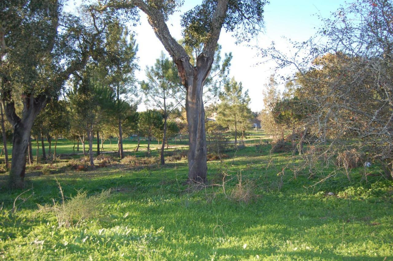Casas Herdade Do Convento Da Serra Almeirim Eksteriør billede